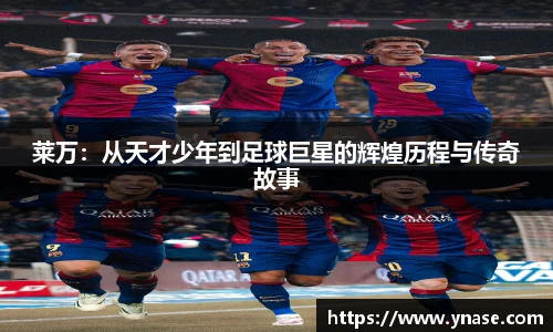 yy易游体育网址